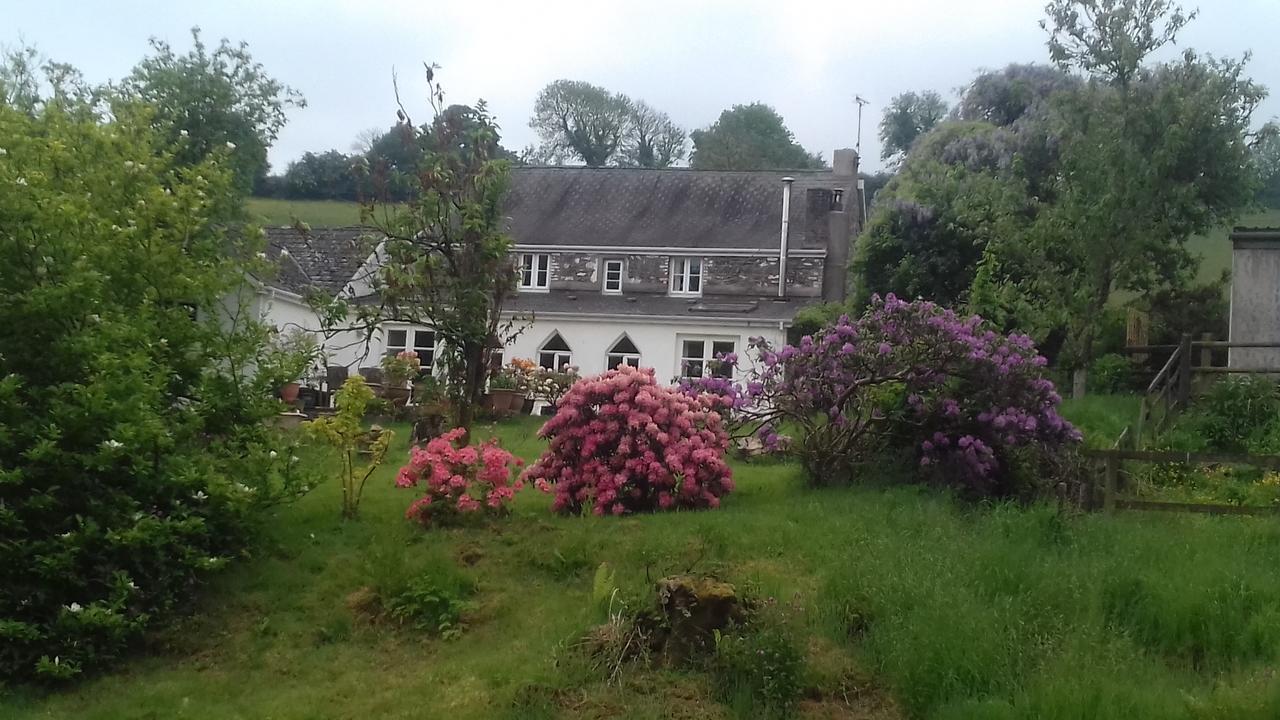 Hills Farm B&B Laugharne Exterior foto